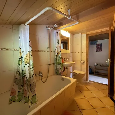Sonnegg By Interhome Apartment *